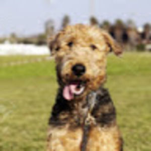 Meet your Posher, Blanton